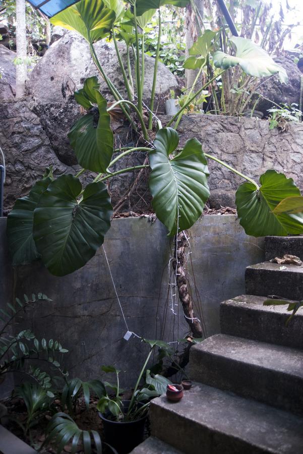 Butterfly Jewel Bed & Breakfast Unawatuna Bagian luar foto