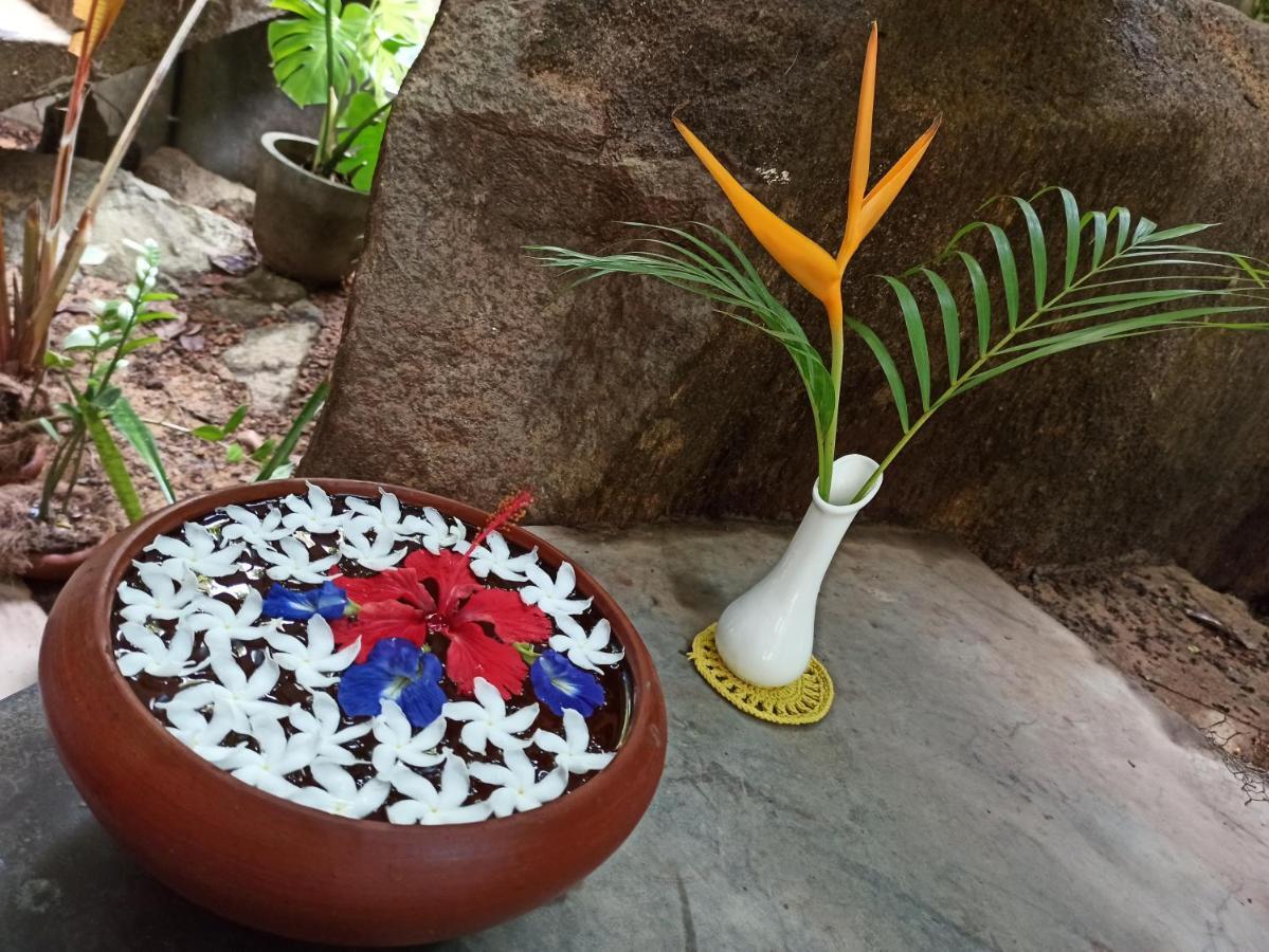 Butterfly Jewel Bed & Breakfast Unawatuna Bagian luar foto